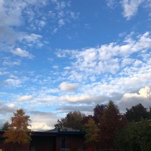 Meet your Posher, Madeleine